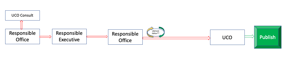 Workflow depiction of policy process "light" used to make minor edits to an existing policy. Details are described below.